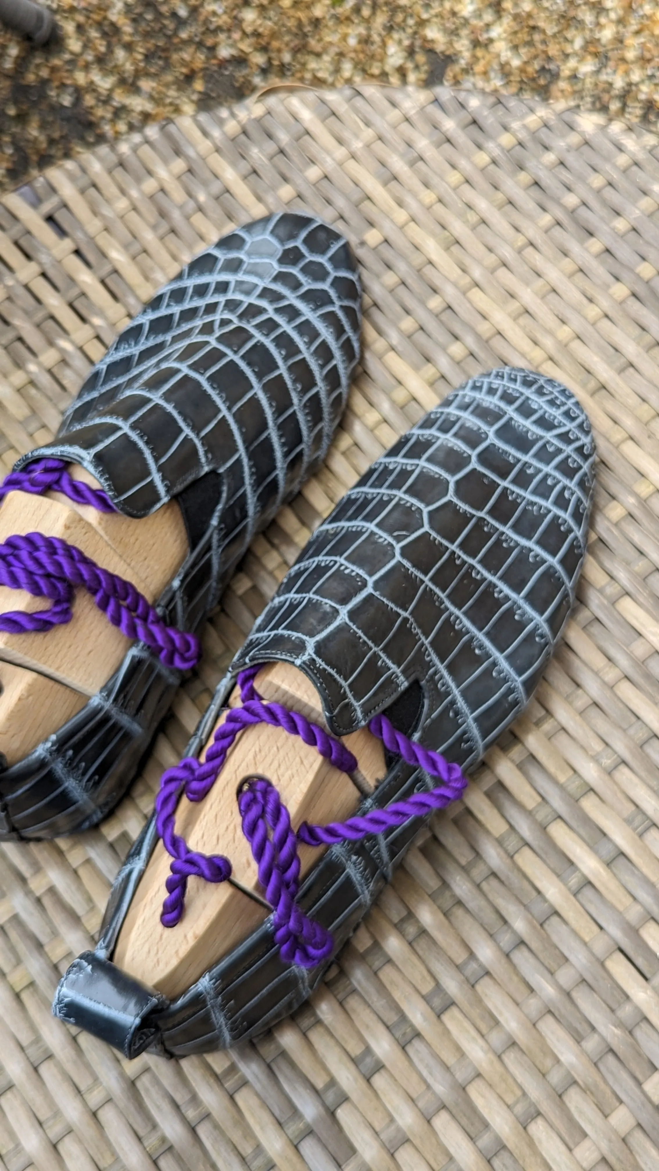 Ascot Tate - Grey hound Blue Crocodile