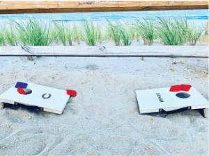 CHATHAM SMALL TRAVEL CORNHOLE