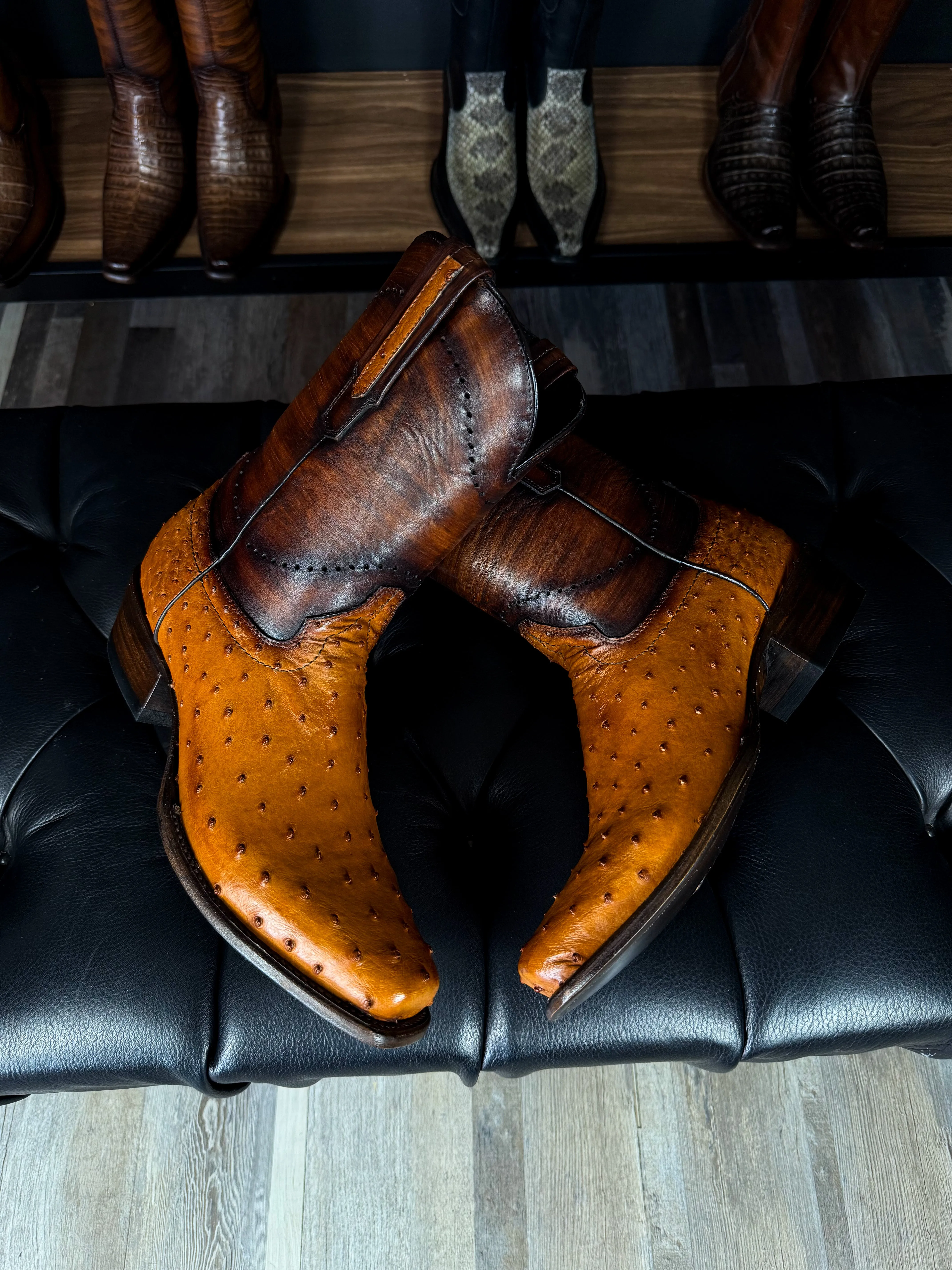 COWBOY PAJA AVESTRUZ BOOTS