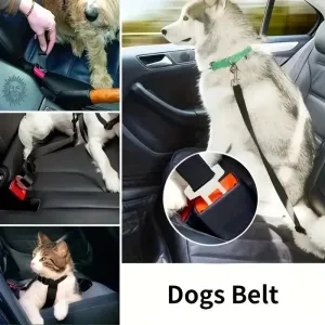 Dog Seat Belt