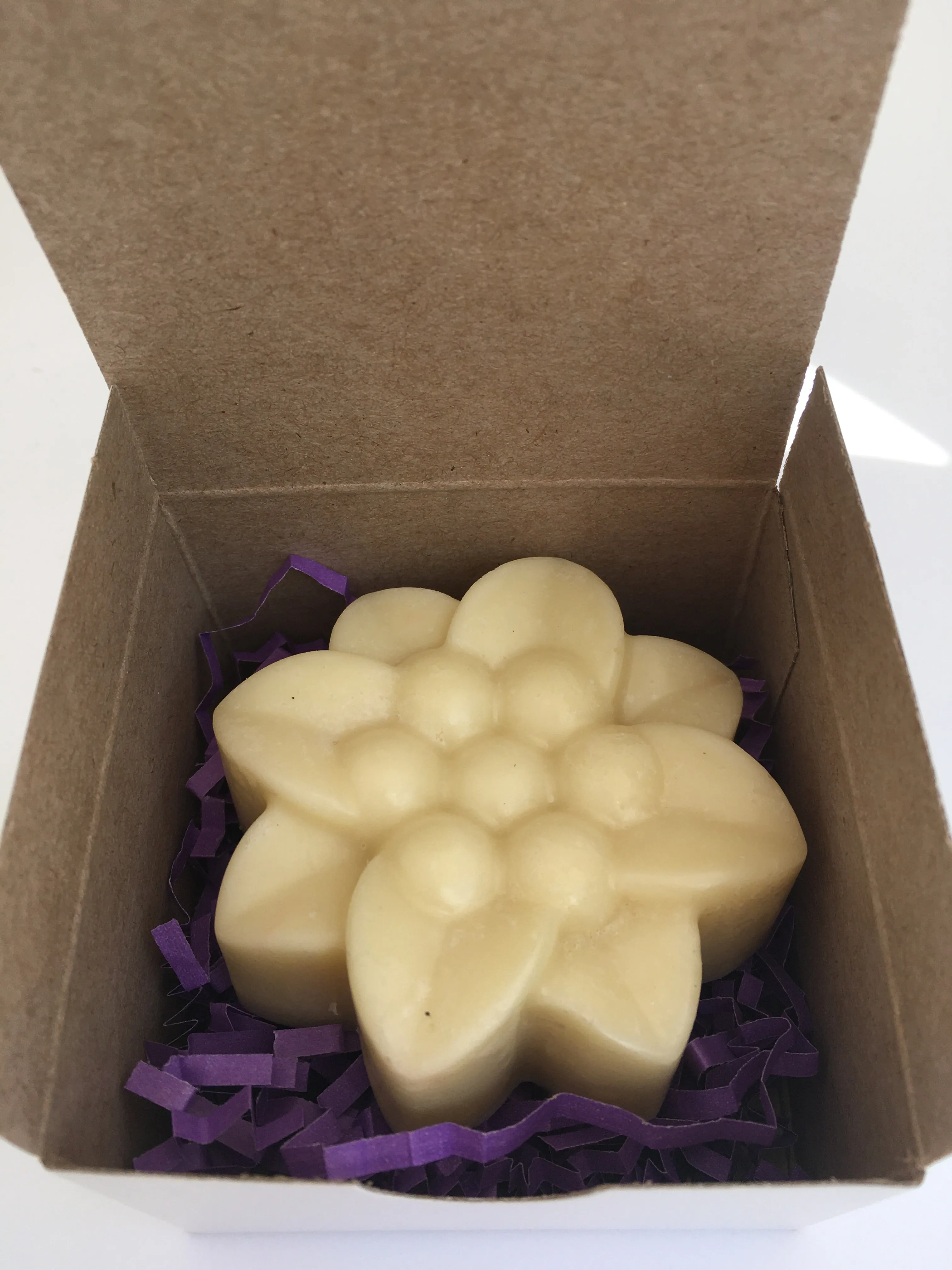 Solid Conditioner Bars