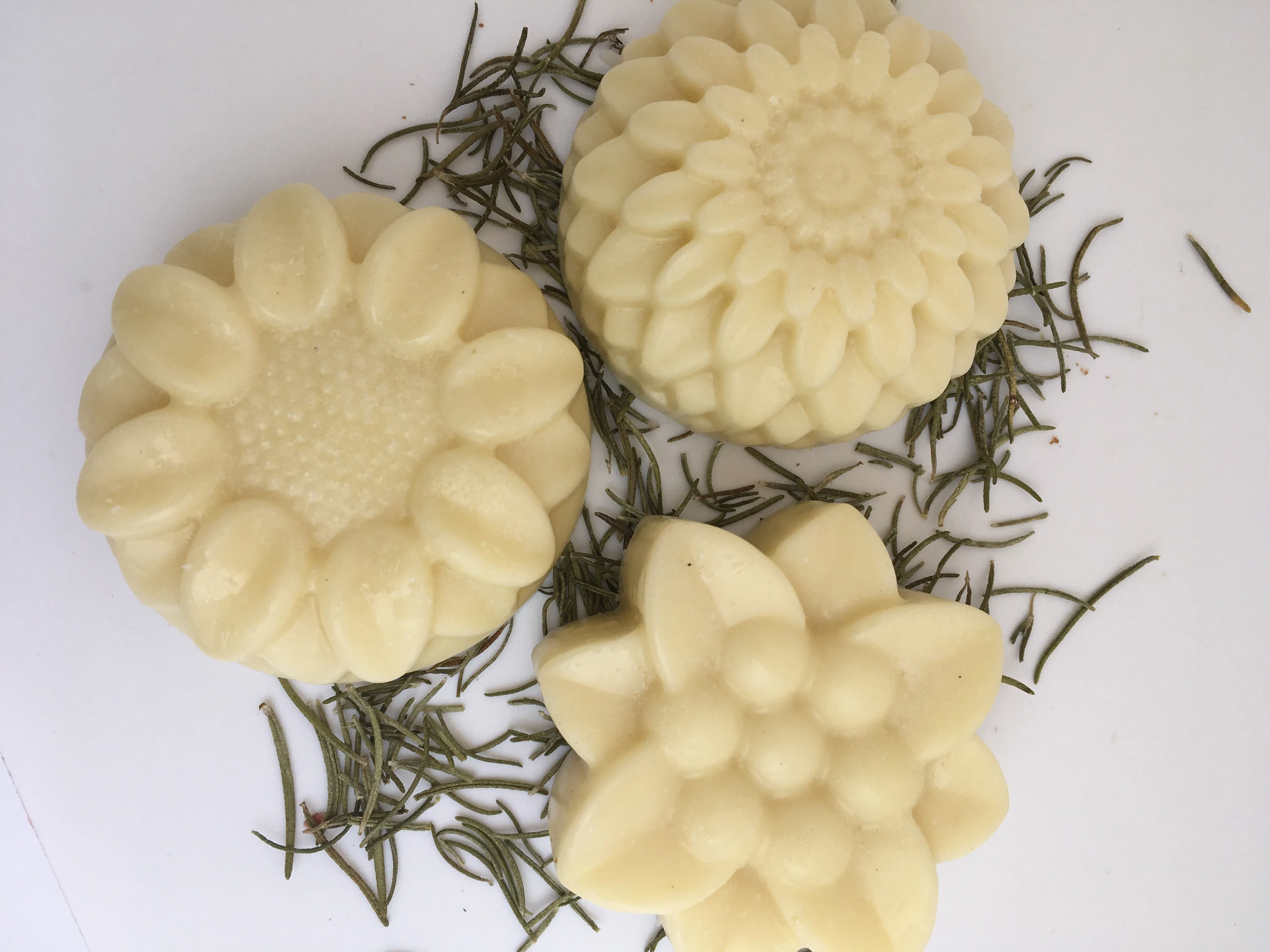 Solid Conditioner Bars