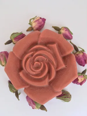 Solid Conditioner Bars